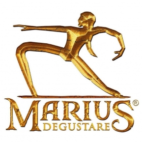 Marius Degustare Rio Restaurant  Square flyer